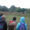 Unser 2. Schuljahr besucht den Zoo Neuwied